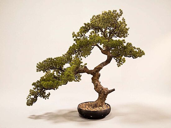 YAPAY BONSAI AGAC 78cm (TH106271 ) - 1
