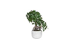 Yapay Fikus Ağacı Bonsai 37 cm ( TH873008-A) - 2