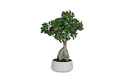Yapay Fikus Ağacı Bonsai 58 cm (TH873002-A) - 2