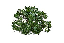 Yapay Fikus Ağacı Bonsai 58 cm (TH873002-A) - 3