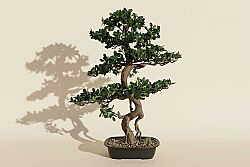 Yapay Fikus Ağacı Bonsai 89 cm - KERVAN