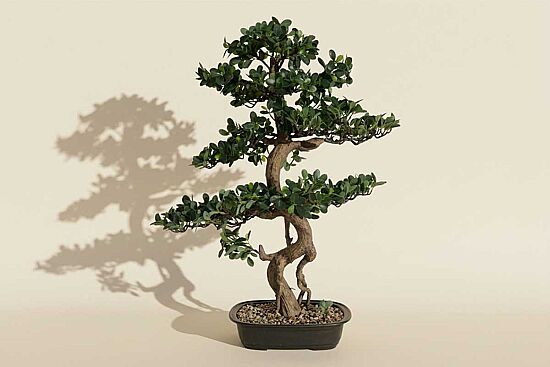 Yapay Fikus Ağacı Bonsai 89 cm - 1