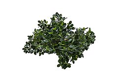 Yapay Fikus Ağacı Bonsai 89 cm - 3
