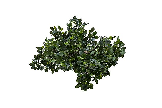 Yapay Fikus Ağacı Bonsai 89 cm - 3
